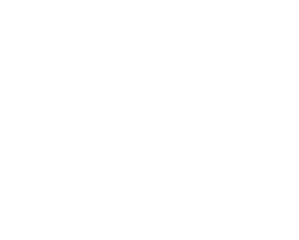 Drone 1 Consulting LLC